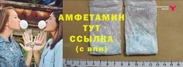 хмурый Каменногорск